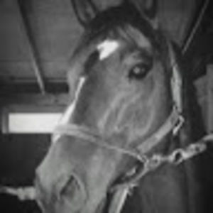 Meet your Posher, Krysta